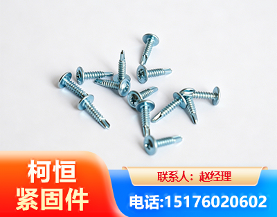 定西华司钻尾丝
