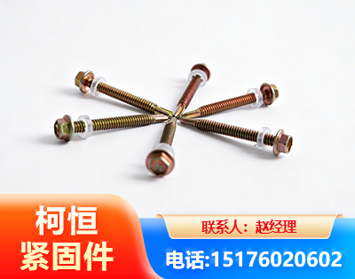 定西六角钻尾丝