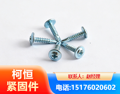 定西华司钻尾丝
