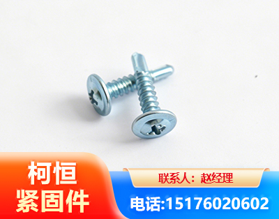定西华司钻尾丝