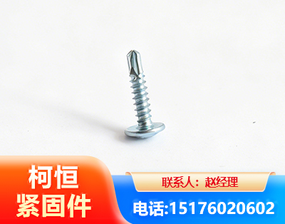 定西华司钻尾丝